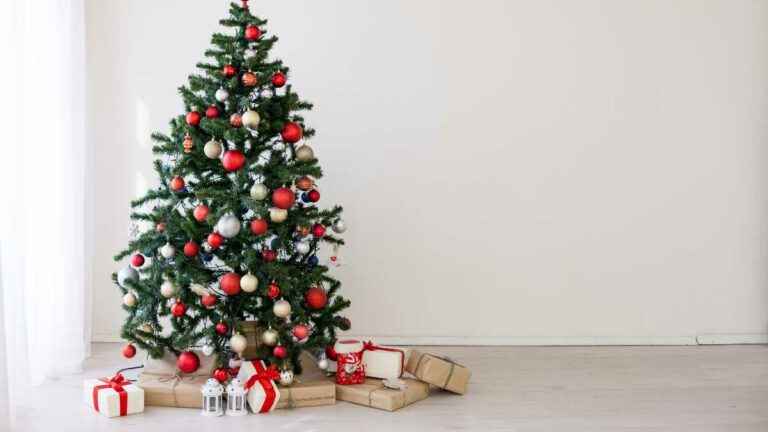 quanto custa alugar uma árvore de natal