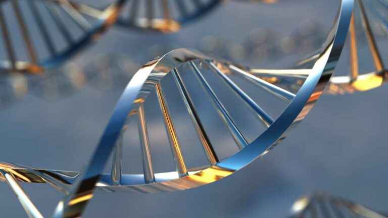 quanto custa um exame de dna com fio de cabelo