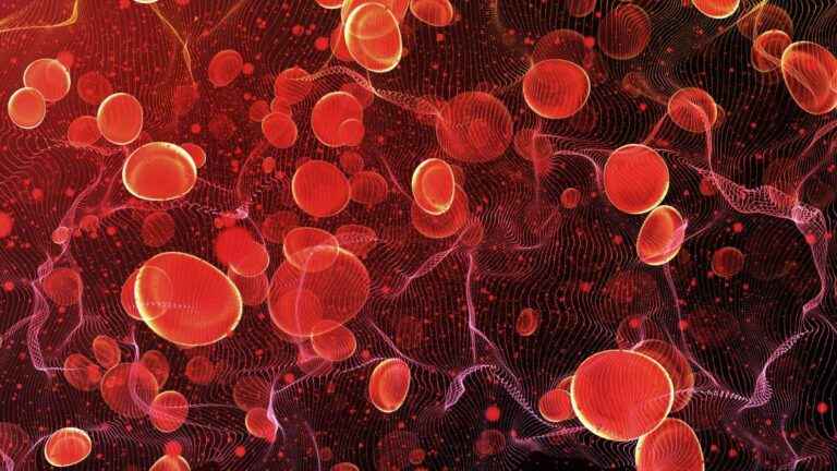 quanto tempo demora para as plaquetas subirem depois da dengue
