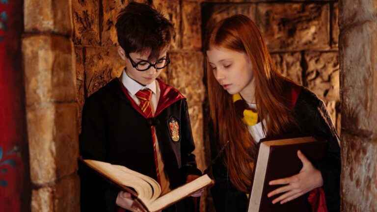 Harry Potter e a Câmara Secreta Torrent