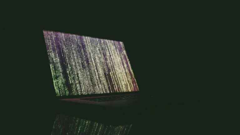 Saiba como identificar e se proteger dos principais golpes da internet