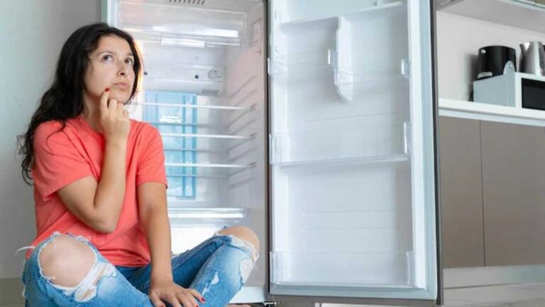 Quando a geladeira não está congelando, o que pode ser