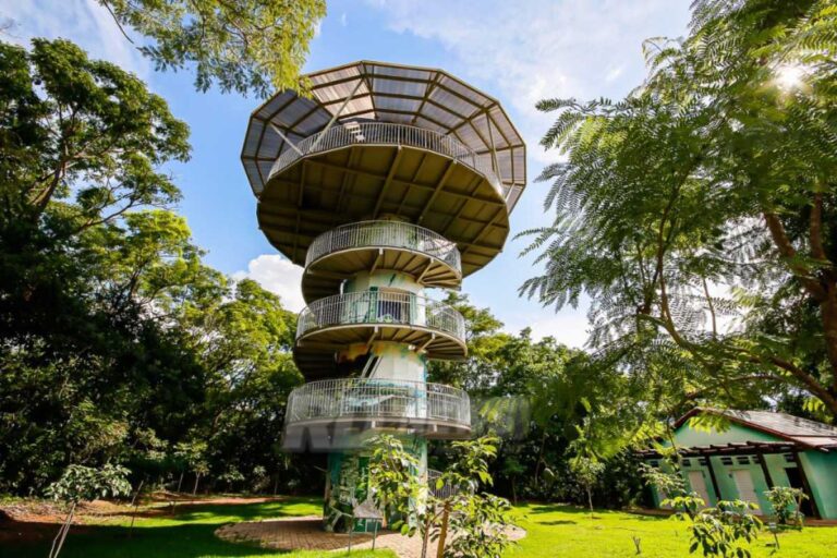 Parque Mãe Bonifácia: refúgio no coração de Cuiabá