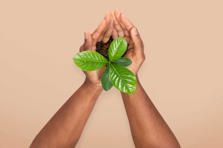 Sustentabilidade no Dia a Dia e nos Investimentos: Estratégias para um Futuro Melhor